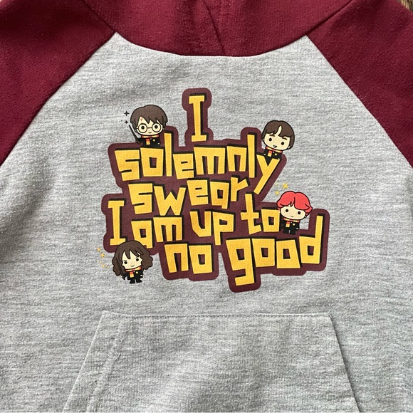 Harry Potter Hoodie (4T) - Picture 3 of 4